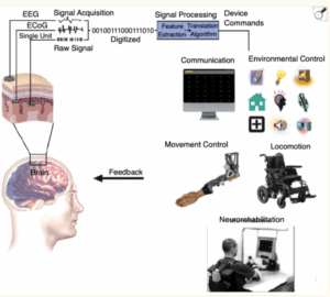 Neuralink and other brain-computer interfaces – Current Happenings ...